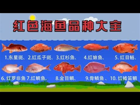 羅志聰 紅色的魚